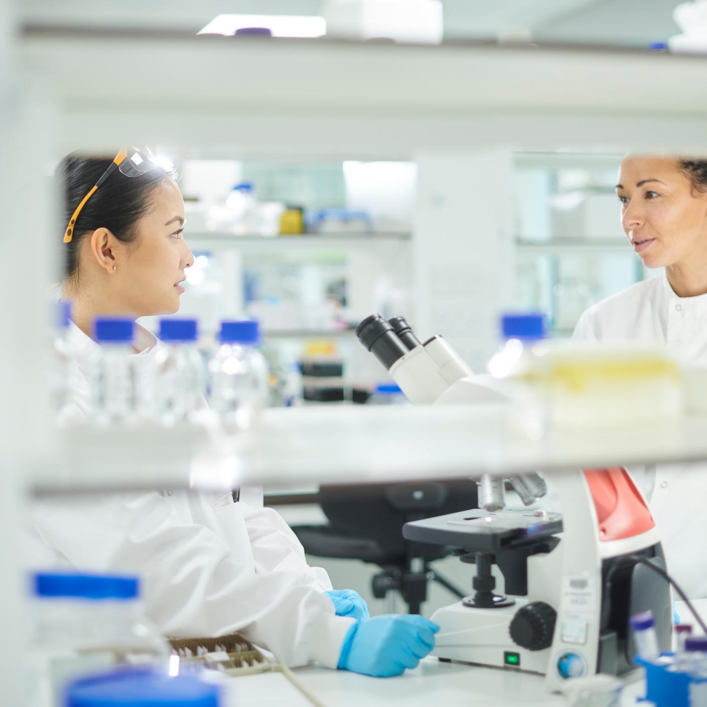 IVDR时间表 - 实验室分析